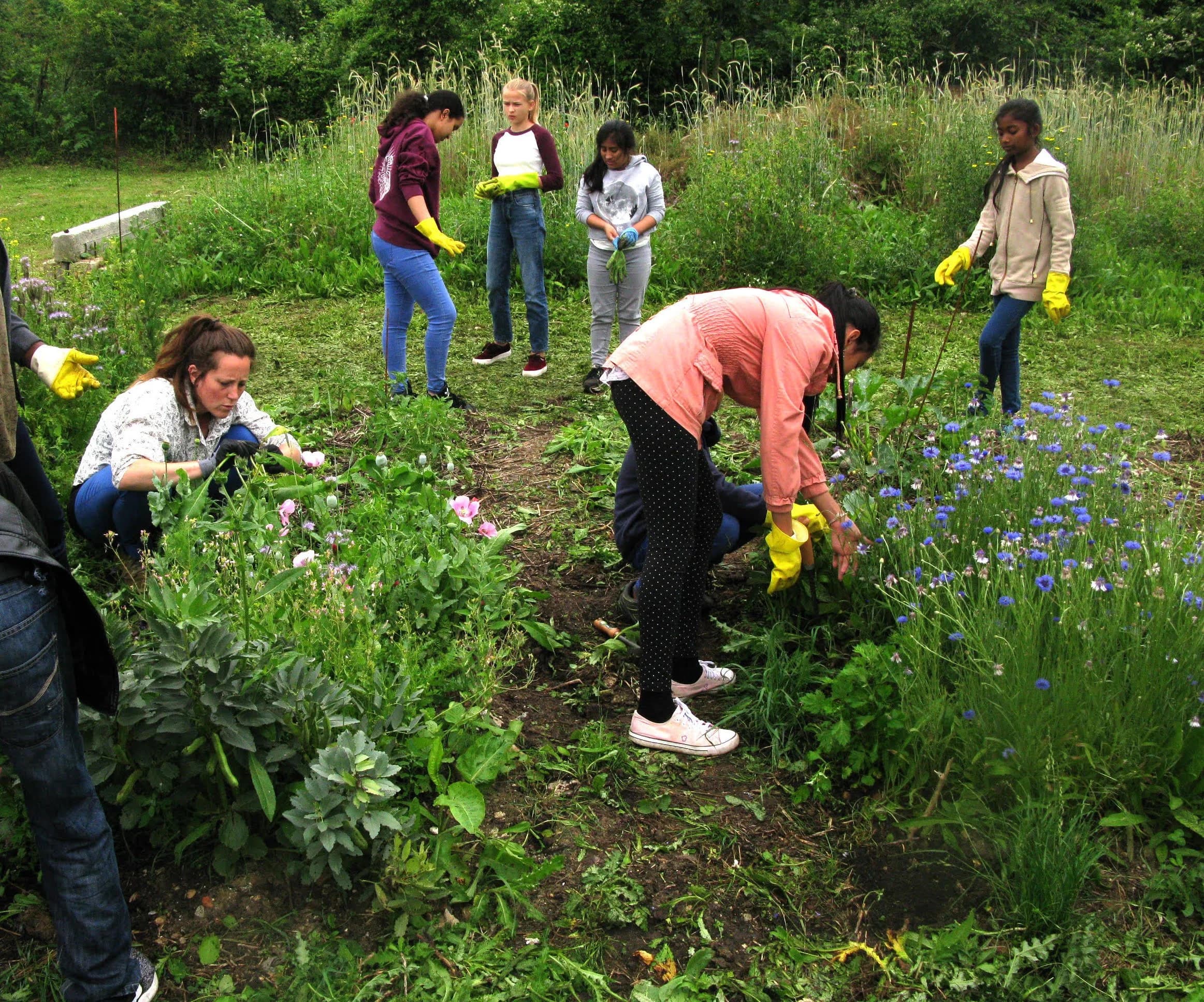 Jardin de Barbara, Stains • atelier de jardinage mensuel avec une classe du collège Barbara